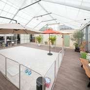 店内には大きなドッグランがあるほか、わんちゃん用のウォーターサーバー、カフェマットなど設備も充実。地域のコミュニティとしても利用可能です。お子さまや、わんちゃんとゆっくり過ごせる温室カフェです。