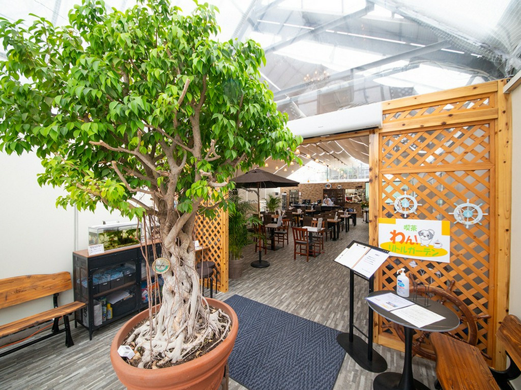 ゲストにもわんちゃんにも優しく、ゆったり過ごせる空間