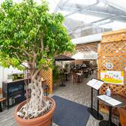 店内はエントランスから奥まで、なるべく段差の少ない設計を取り入れ、床面は濡れても滑りにくい床材を使用。ゲストにもわんちゃんにも優しく、ゆったり過ごせる空間です。