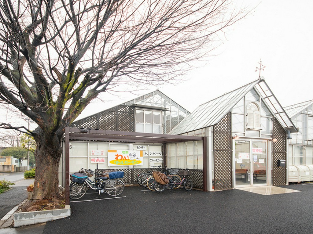 わんちゃんも入れるゆったりとした喫茶店