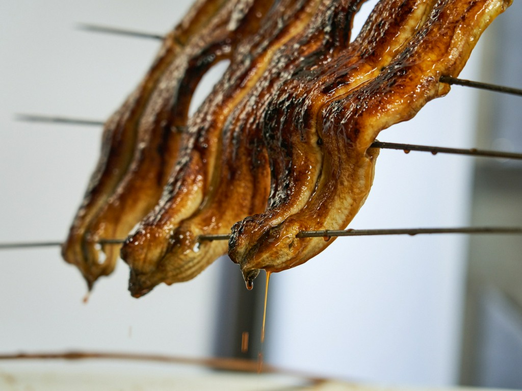 一尾、半尾をそのまま味わう逸品や、鰻を活かした一品料理もあり