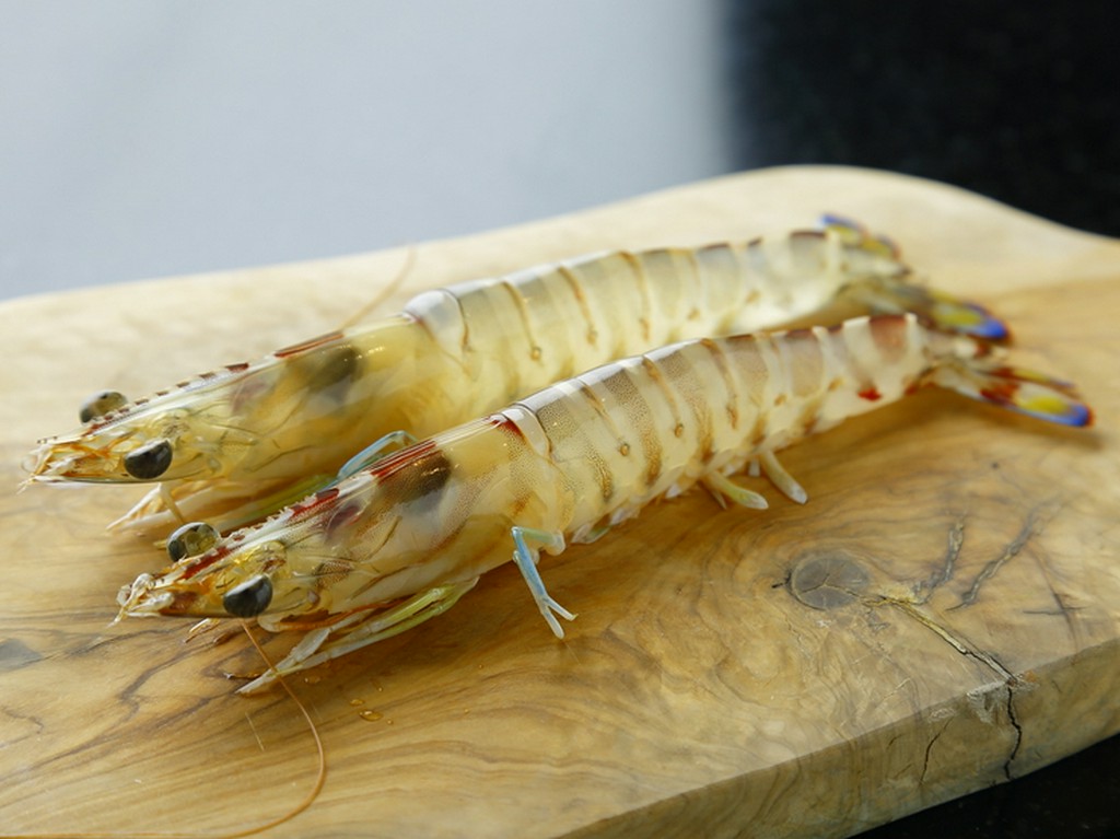 海老の甘みと旨み、そしてぷりっとした食感を存分に『車海老』　