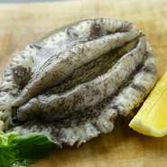 新鮮な活きたままの鮑を水揚げし鉄板で蒸し焼きにします。熱伝導率が高く均一な熱を保持する鉄板で焼き上げる鮑は、とってもやわらかで贅沢な味わいに。肝でつくるソースと共にたまらないおいしさです。
