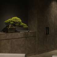 世界的に活躍する日本人アーティストの絵画や、盆栽アーティスト集団「トラッドマンズ」の週で変わる盆栽など、美しいものに囲まれています。そんな中で味わう新しい「鰻×ワイン」、存分に愉しんでみては。
　