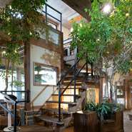 店のテーマは、“緑に囲まれた、箸で食べる森の食堂”。木目調のインテリアで統一されたオシャレな店内は、穏やかで落ち着いた雰囲気です。緑に囲まれ、心も身体もリフレッシュされます。