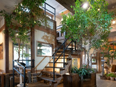 木目調のインテリアで統一。緑に囲まれ、心も身体もリフレッシュ