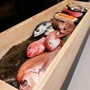 市場直送の厳選食材。一年を通してさまざまな旬と出合える場所