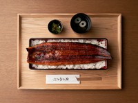 鰻・米・タレ、すべてにこだわった贅沢な一口『ちりめん山椒うな重』