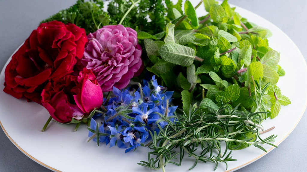 旬の地元食材も豊富。月替わりコースで季節ごとの滋味を供する