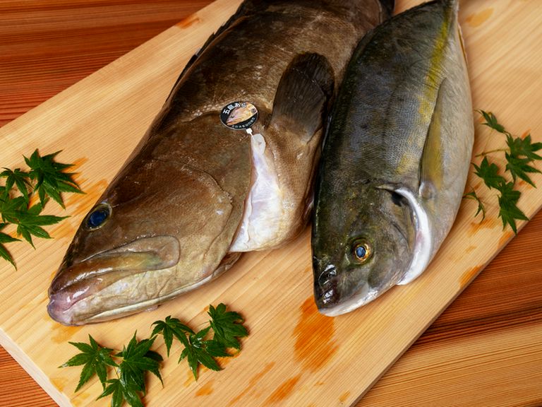 コースで出合う四季折々。市場直送の旬魚をはじめとした食材たち