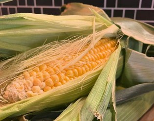 各々の素材が活きる。シェフこだわりの道産食材×欧風料理