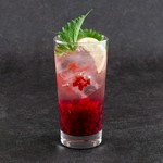 ・一歩自家製レモンサワー
・かりかり梅とゆかりのサワー
・梅干しサワー
・梅干しレモンサワー
・白桃おろしサワー
・巨峰サワー