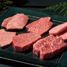 Wagyu Yakiniku Yakuniku Tetsu