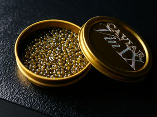 Furenchijukuseiyakinikubanku