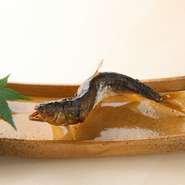 全国から産地直送の食材を使って仕立てた至極のコース。産地でしか出回らない食材や、希少な食材を取り扱える当店だからこその仕立てを是非ご堪能ください。