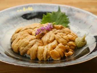 特選うに丼