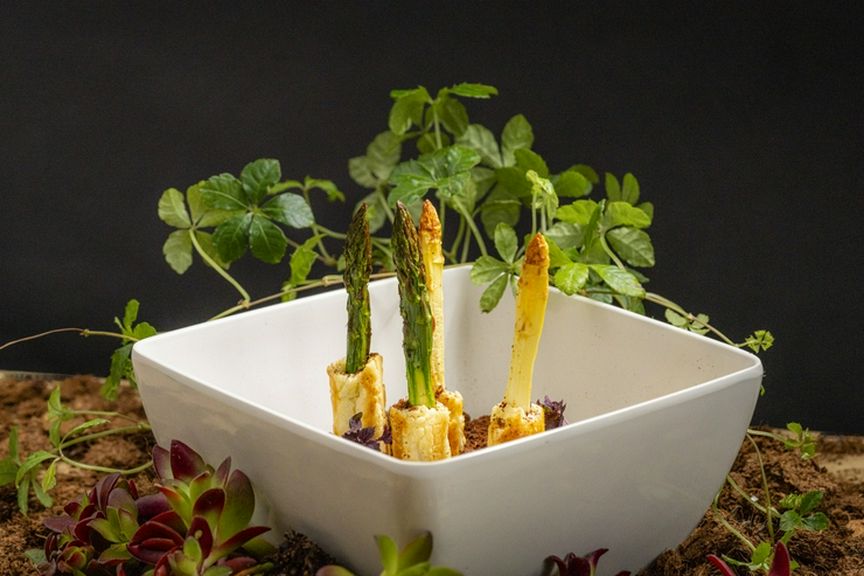 『北海道産ホワイトアスパラとグリーンアスパラのパートフィユテ焼き チョコレートと赤味噌のクランブル』