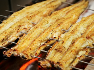 季節によって一番美味しい活鰻を厳選しています