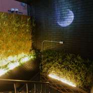 訪れる人々の期待感を一層高めてくれる、店内へと至るまでの美しい光の演出。階段を一歩一歩上がるごとに広がる幻想的な映像により、まるで別世界に足を踏み入れるような錯覚を覚えます。