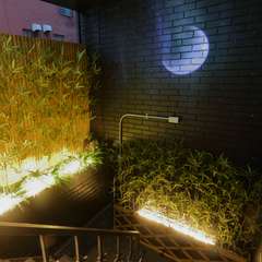 階段の壁には映像がライティングされ特別な空間へと誘う