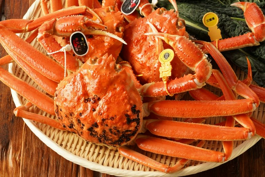 福井の海と大地が育んだ食材を、一つ一つ丁寧に厳選する