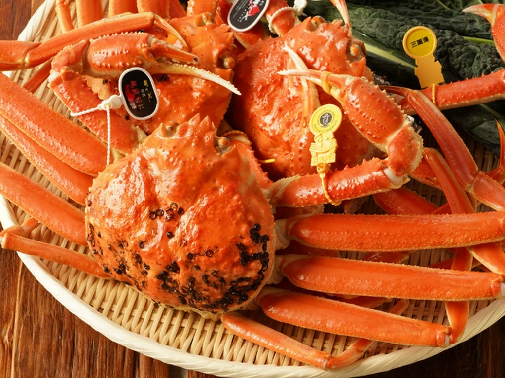 福井の海と大地が育んだ食材を、一つ一つ丁寧に厳選する