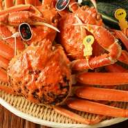 福井の海と大地が育んだ食材を、一つ一つ丁寧に厳選する