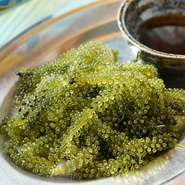 プチプチ食感が楽しい定番人気メニュー！