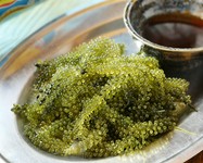 プチプチ食感が楽しい定番人気メニュー！