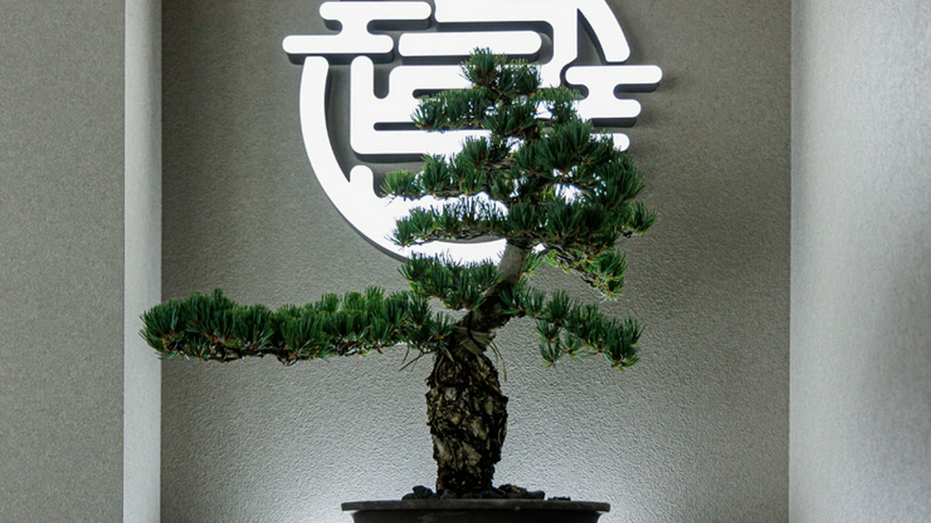 淡路島の風土を感じながら非日常を気軽に味わう