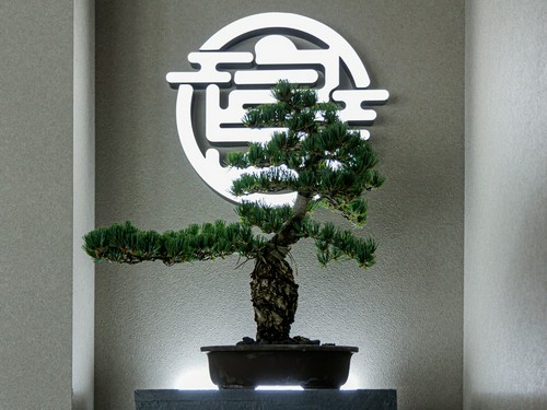 淡路島の風土を感じながら非日常を気軽に味わう