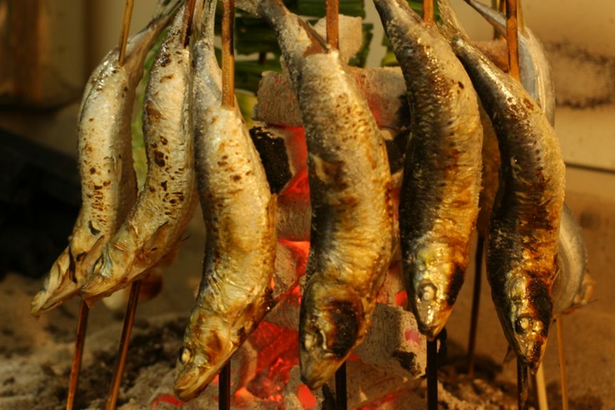 超特大大トロイワシの炭火焼き