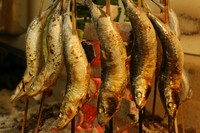 超特大大トロイワシの炭火焼き