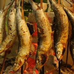 超特大大トロイワシの炭火焼き