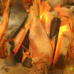 きんきんの炭火焼き