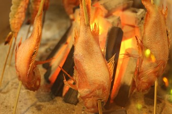 きんきんの炭火焼き
