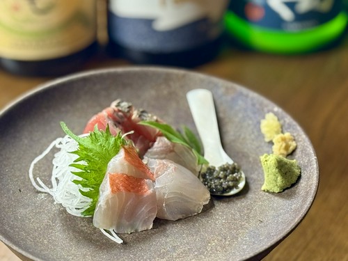 浜名湖、遠州灘で水揚げされる鮮魚