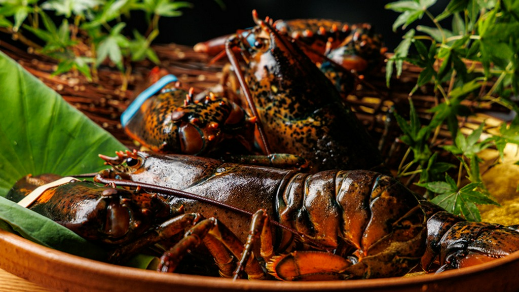 旬のものを厳選し、鮮度と味わいを最大限に引き出す
