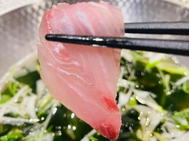 富山名物「鰤」を使った絶品しゃぶしゃぶ