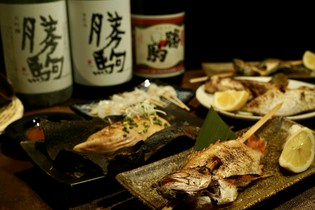 鮮度抜群、身のおいしさがしっかりと高まっている富山直送の魚