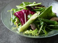 Organic Vegetable Salad