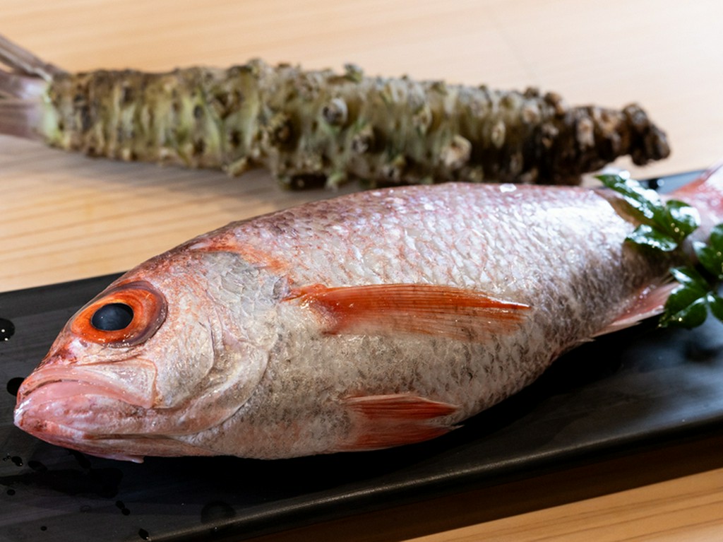 こだわりの目利きと、独自のルートで仕入れる厳選食材