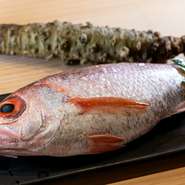 市場直送や産地直送など、こだわりの目利きと、独自のルートで仕入れる厳選食材の数々。妥協を許さず、本当に良いと思ったもののみを仕入れ、熟練の技で至極の一皿へと仕立てられます。