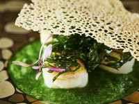 春菊を貝類の汁でミキサーにかけて美しいグリーン色のソース
帆立貝のグリエの香ばしい香りとサクサクな特製チュイルのマリアージュ