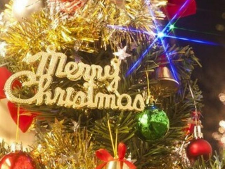 クリスマスディナー 2025　〜ピアノ生演奏と共に〜