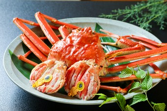 寒さ厳しい日本海で育った滋味を、熱々で頬張る贅沢『越前かに』