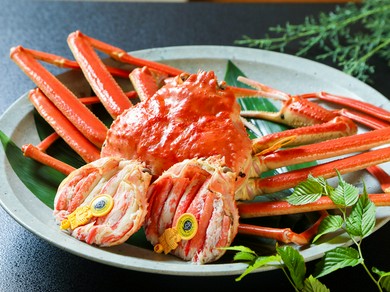 寒さ厳しい日本海で育った滋味を、熱々で頬張る贅沢『越前かに』