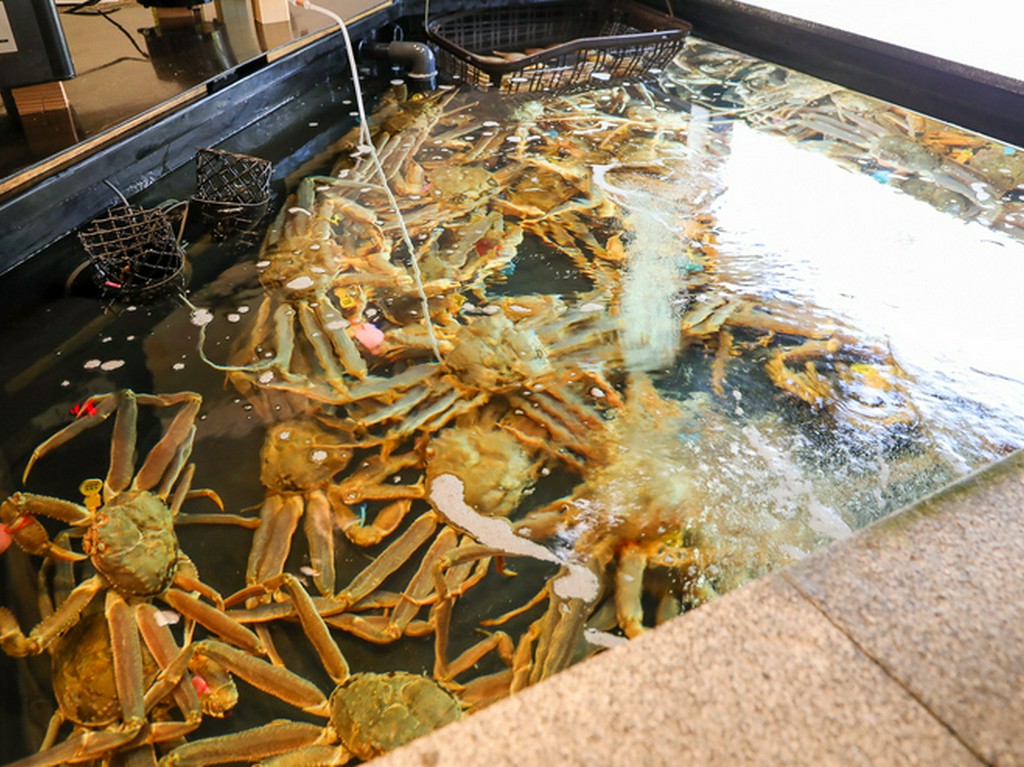 冬の日本海で水揚げされるズワイがにの代表格「越前かに」