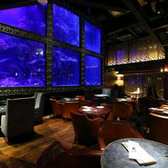 各種宴会や貸切パーティーに。飲み放題付のコースも充実