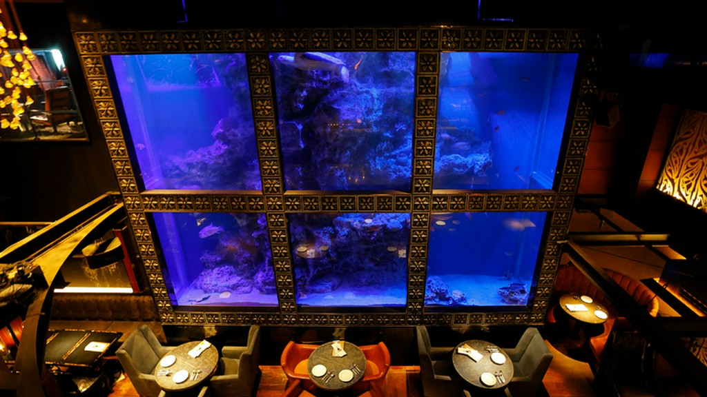 ウミガメのいる水槽を眺めながら、非日常空間を満喫